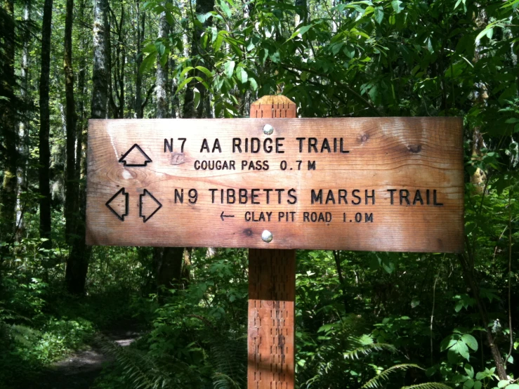 an old wooden sign pointing in a direction for the trail