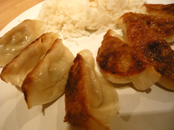 a plate containing dumplings and rice with sauce