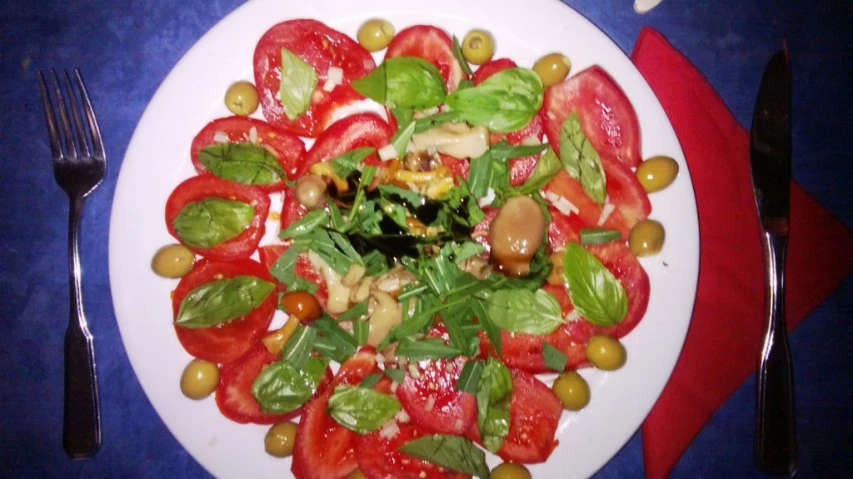 the plate has a salad made of tomatoes and other vegetables