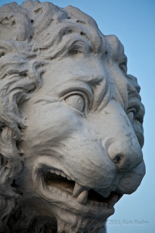 a close up view of a statue of a lion