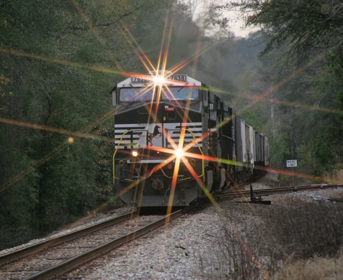 the train is on the tracks outside of the forest