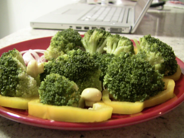 pieces of broccoli are placed on a red plate