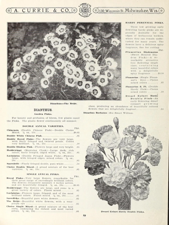 a page of flower arrangements in a book