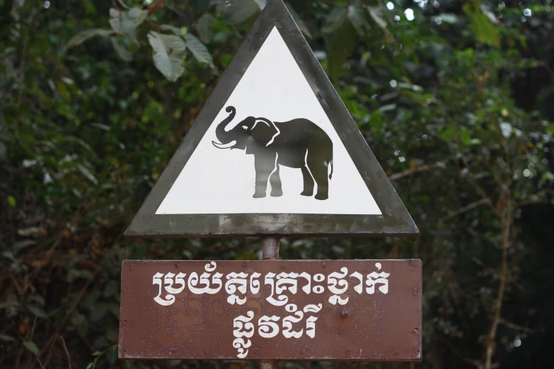 a sign with an elephant written on it