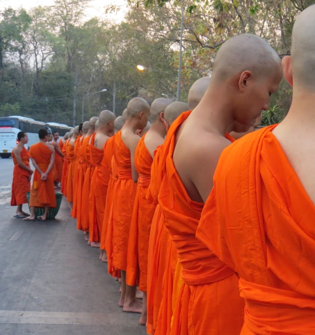 people in orange robes looking down at the ground