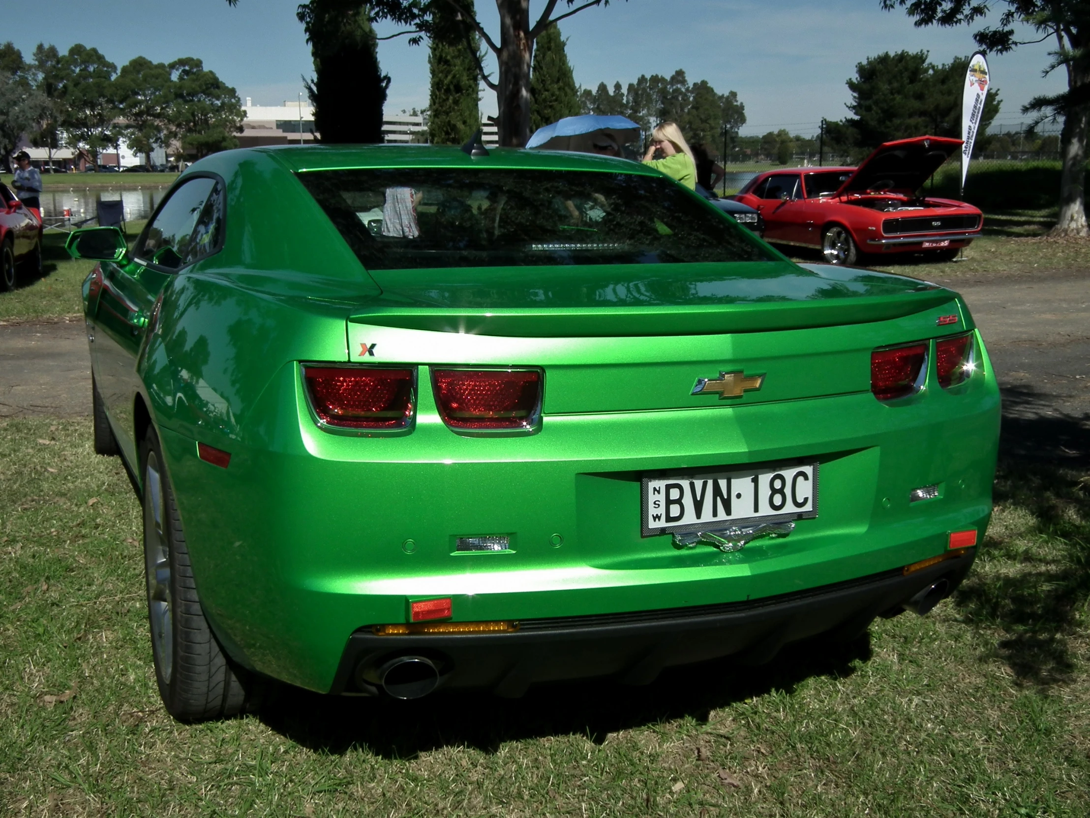 the rear of a green car in grass