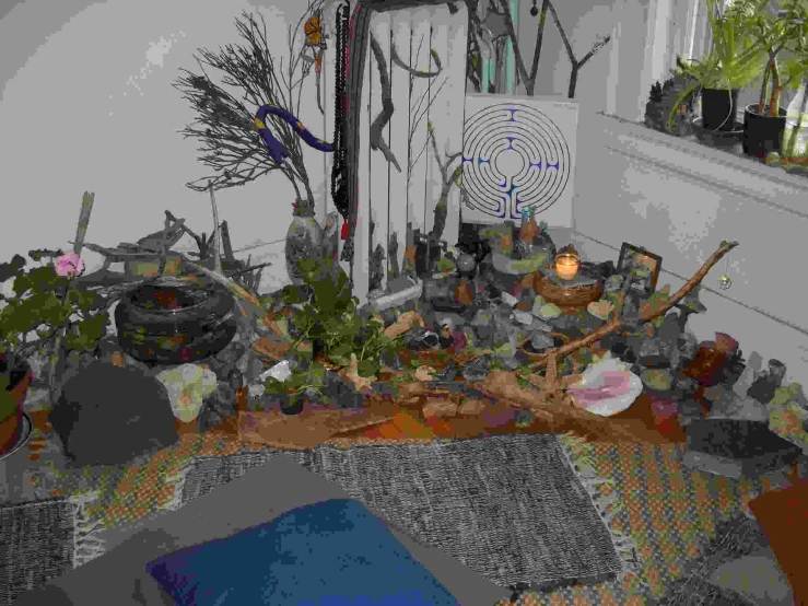 a room filled with a bunch of plants and assorted items