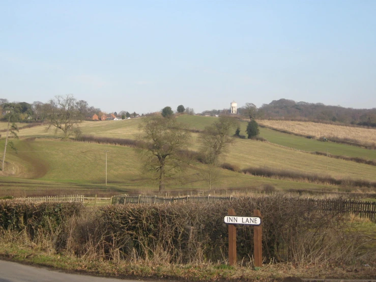 a road next to a field that has been overgrown