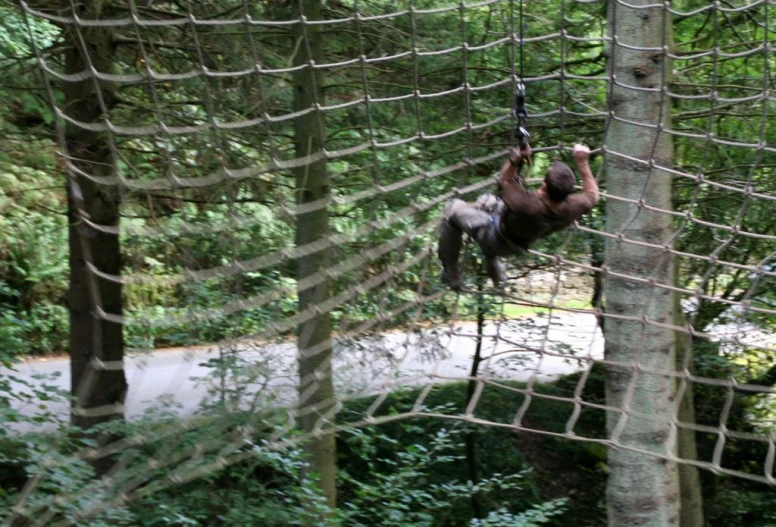 a man on a rope swing in a forest