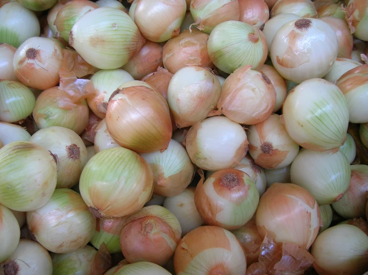 the onion is full of brown, red, and green onions