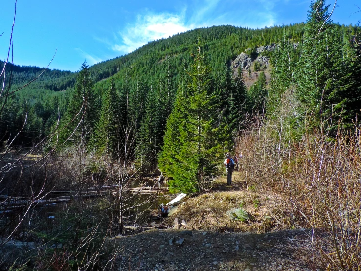 a lone hiker near a forest on a trail