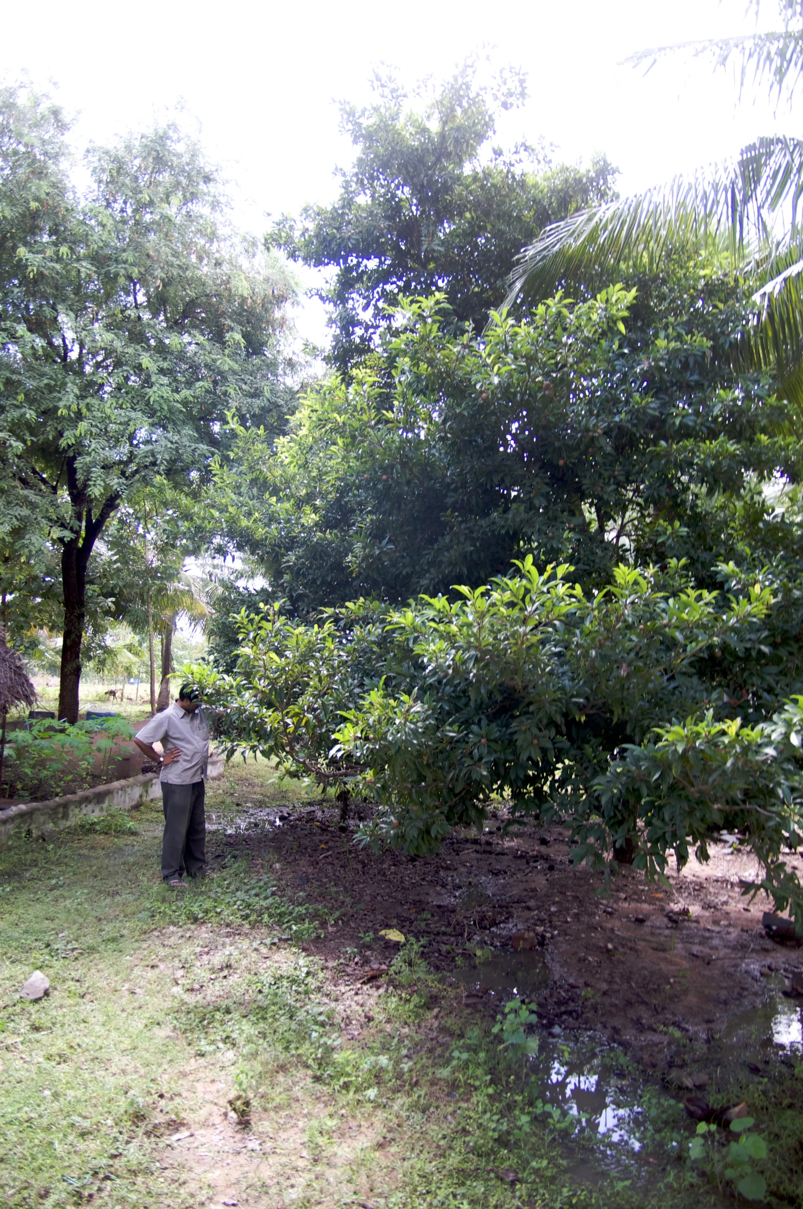 a man who is standing in the grass near trees