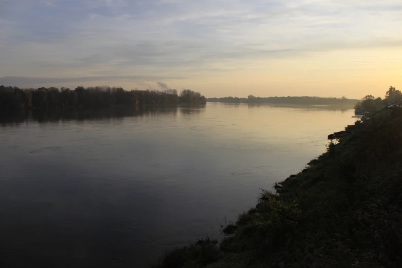 there are some water and trees along this bank