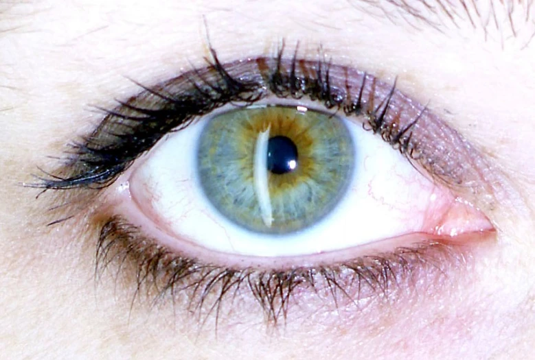an eye with an green iris, and black lashes