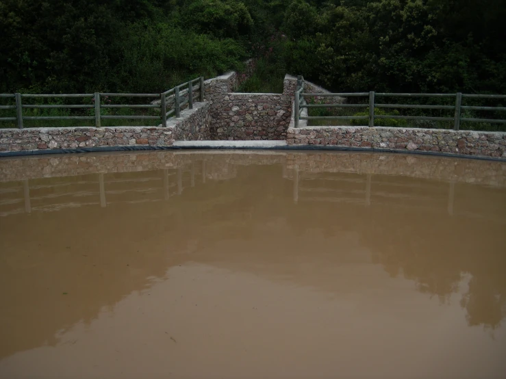 a brown pool in front of trees and a metal fence