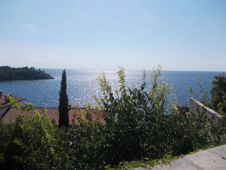 an ocean view from a hillside with bushes and greenery