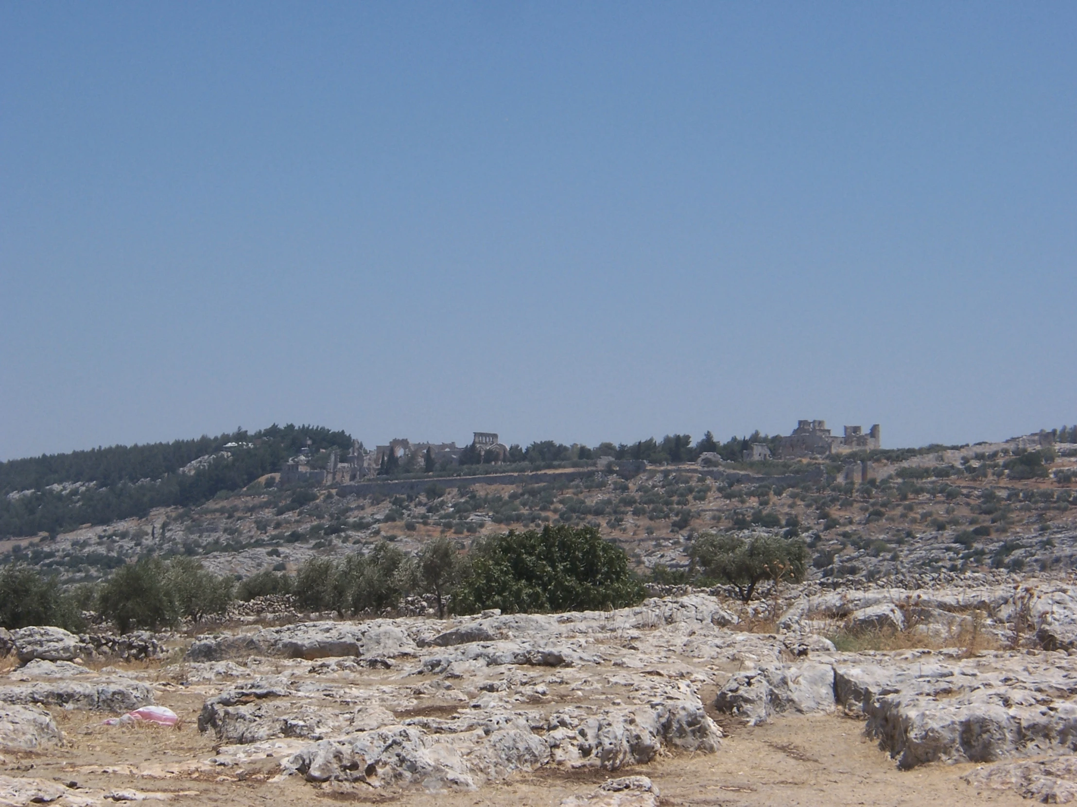 an open space with trees on it and some buildings in the background