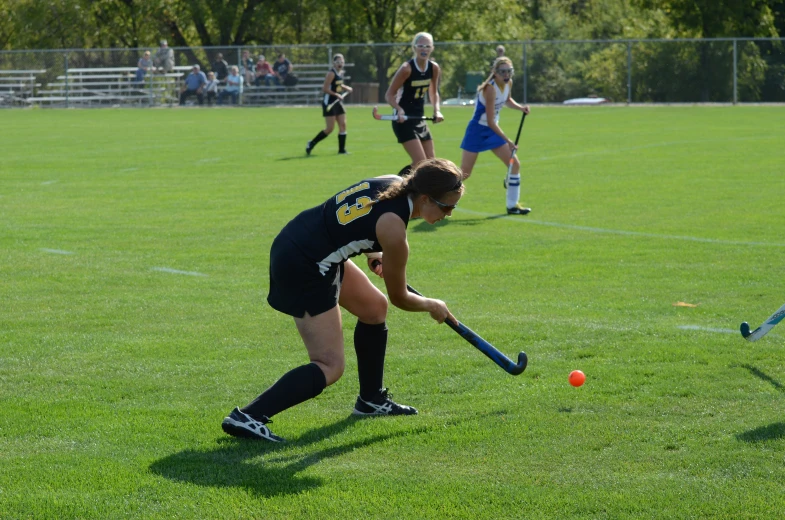 a group of young women playing a game of croquet on grass