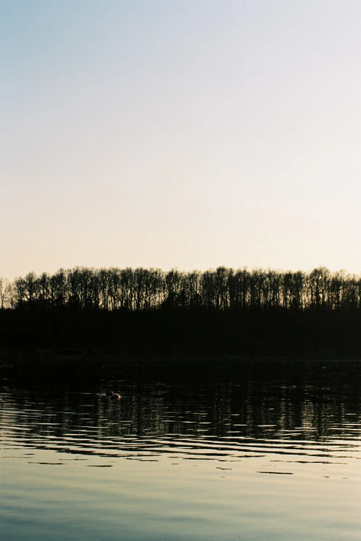 a man is sailing on a lake with trees in the distance