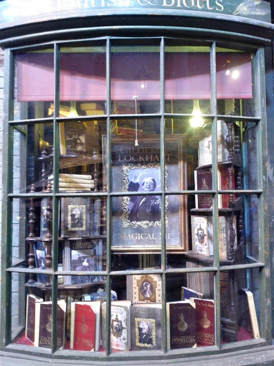 a window display with books, including some of them behind bars