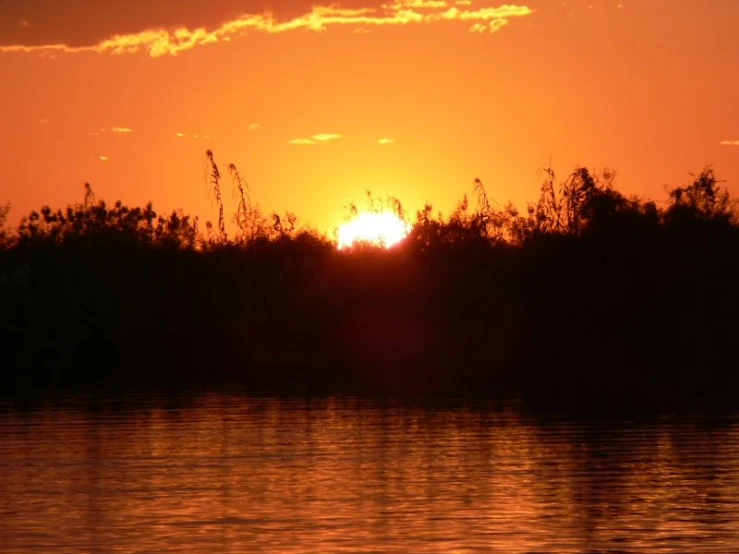 the sun is rising over a small pond