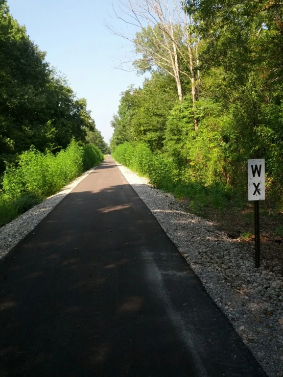 an empty road surrounded by some green trees