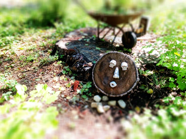 a picture of an old wheelbarrow with the word love on it