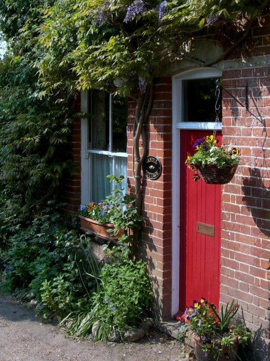 the building has flowers and plants in their windows