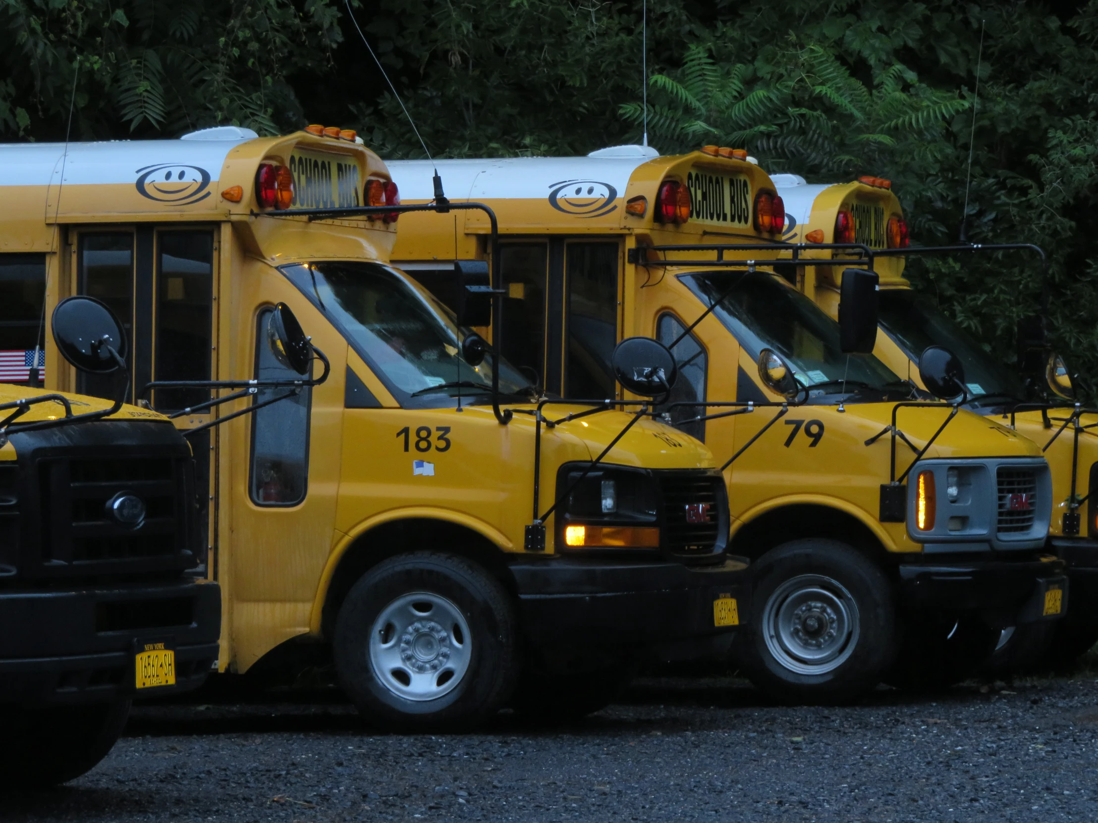 three school buses that are lined up next to each other