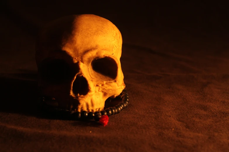 a skull is in the dark with beads around its neck