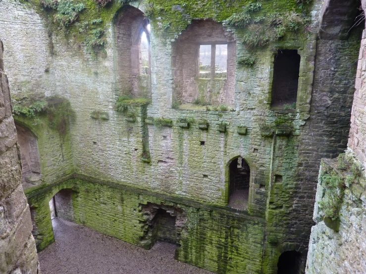 a large building with moss growing over it