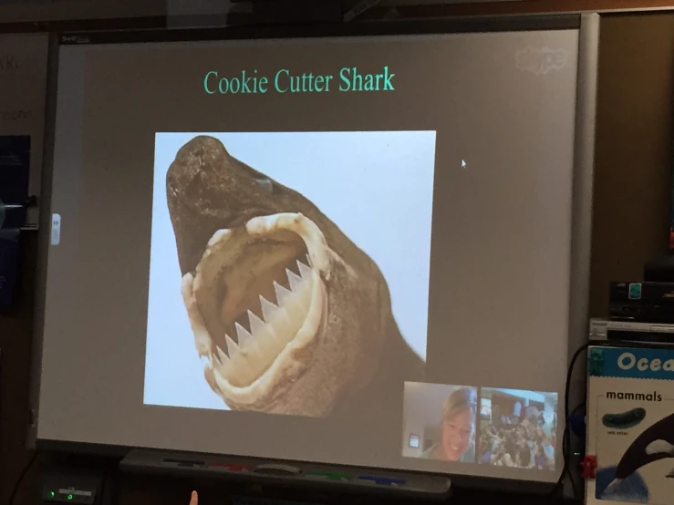 a large shark with its mouth open on a large screen