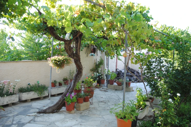 the small patio has many pots of flowers and plants on it