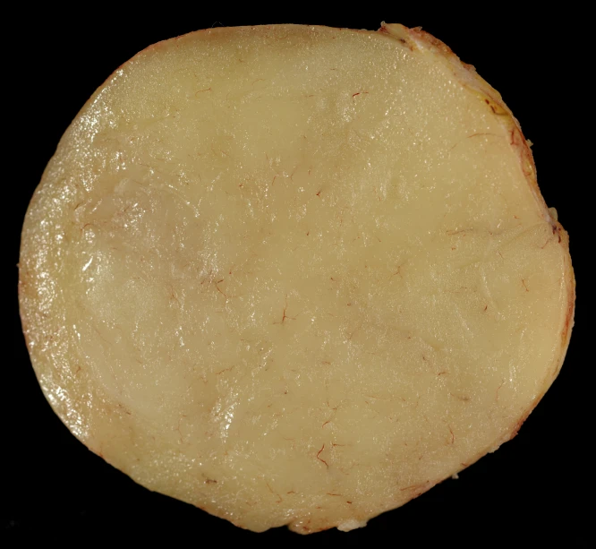 a raw piece of potatoes is shown in a black background