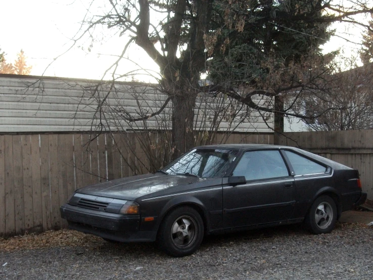a car parked next to a tree in the backyard