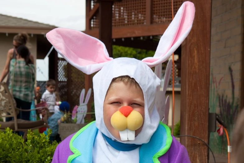 a little boy wearing a bunny costume and a head covering