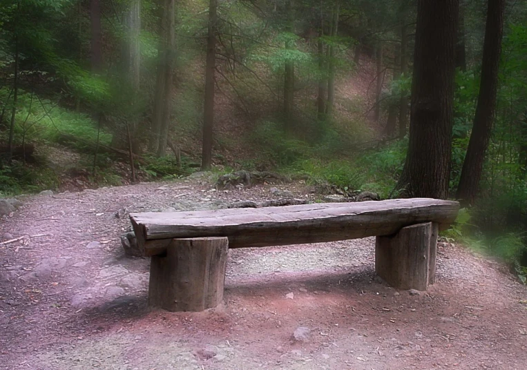 a wooden bench on dirt near trees and dirt path