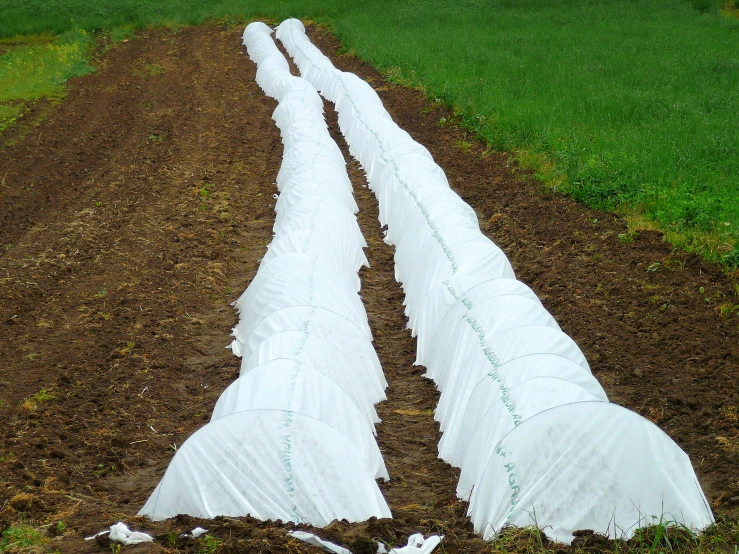 the hoses are pulled out to be used to tie to a farm