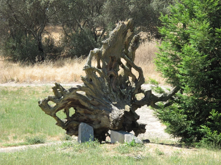 a sculpture made out of tree trunks in the grass