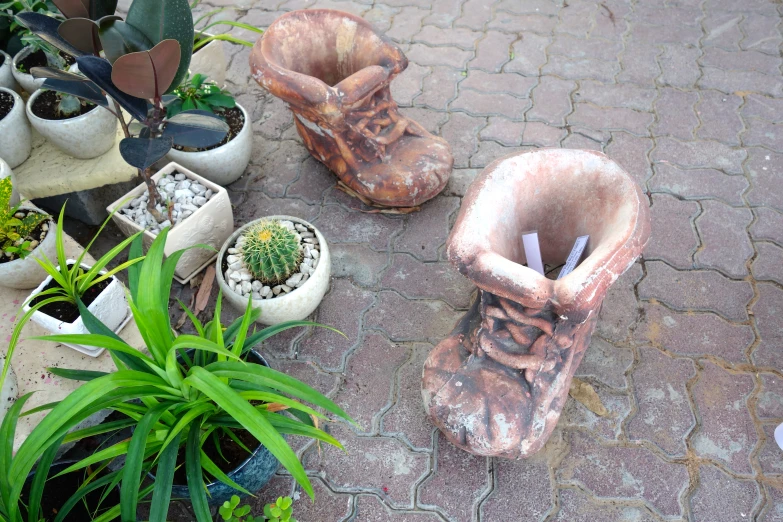 various plants and shoes sitting on the ground