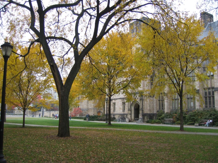 a grassy park with many trees and people sitting on benches