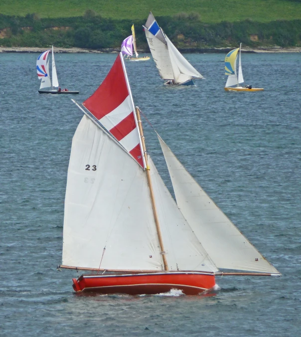 several small sail boats out on the ocean