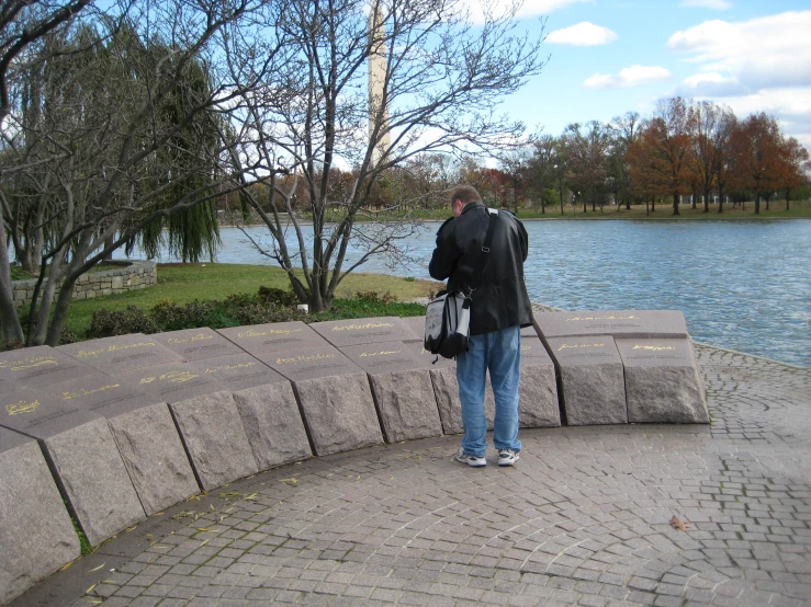 a person standing by the water looking at the tree and land