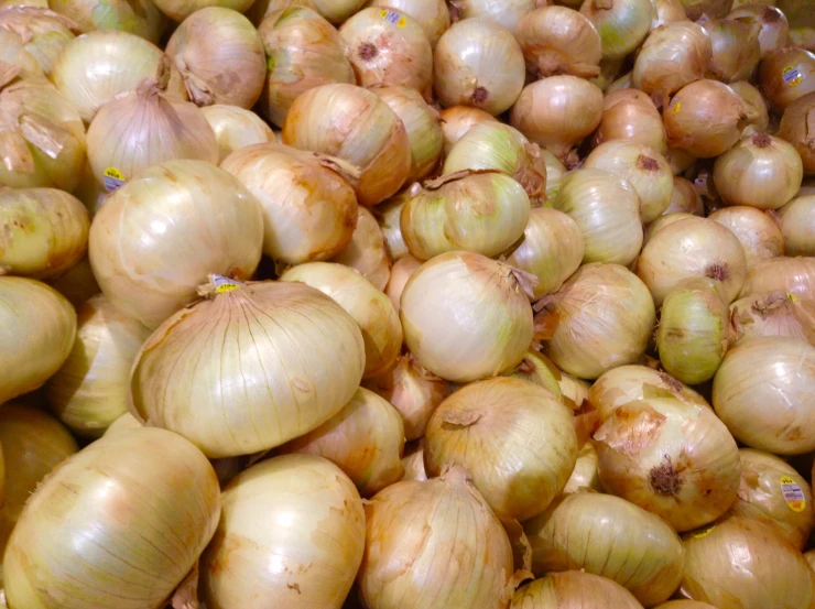 an assortment of different colored onions next to each other