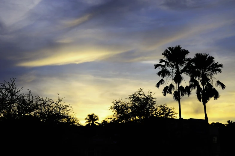 a cloudy day with the sun setting behind some trees