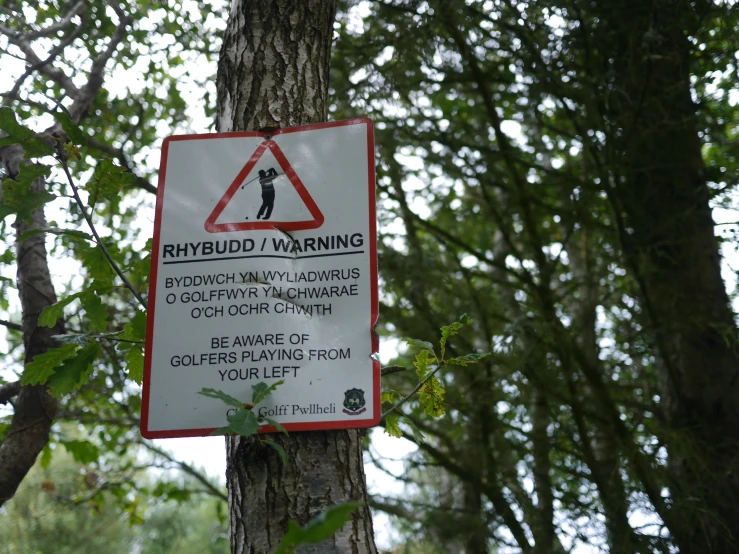 a sign attached to a tree that says, raybud / warning it can clearly be found in the forest