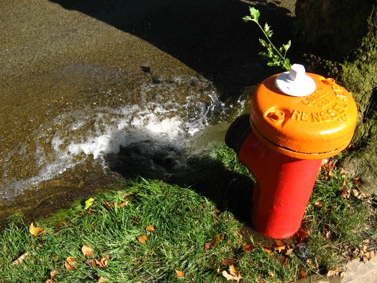 a fire hydrant has been flooded by water