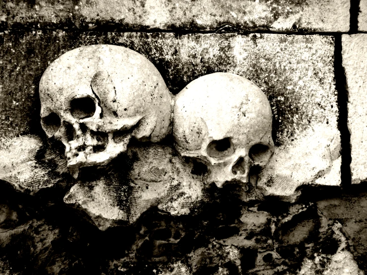 three skulls in the middle of a brick wall
