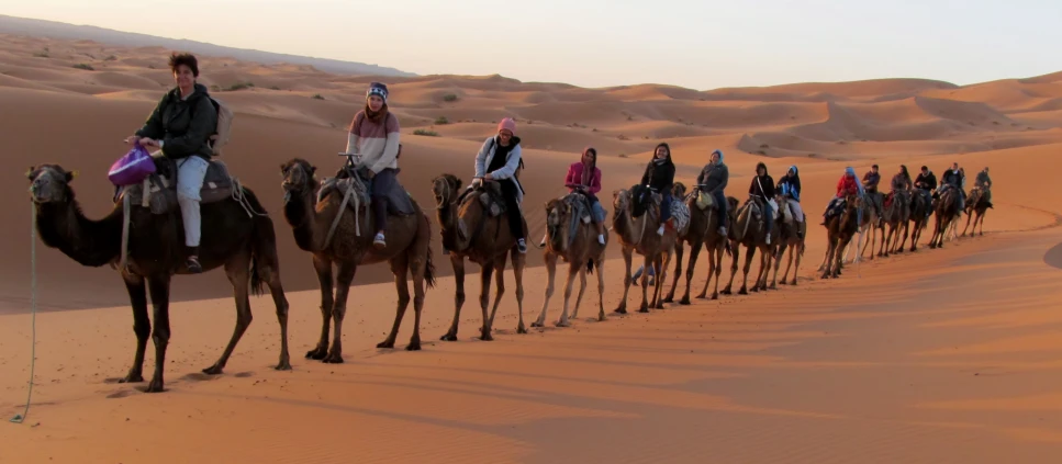 group of people riding on back of small camels in desert