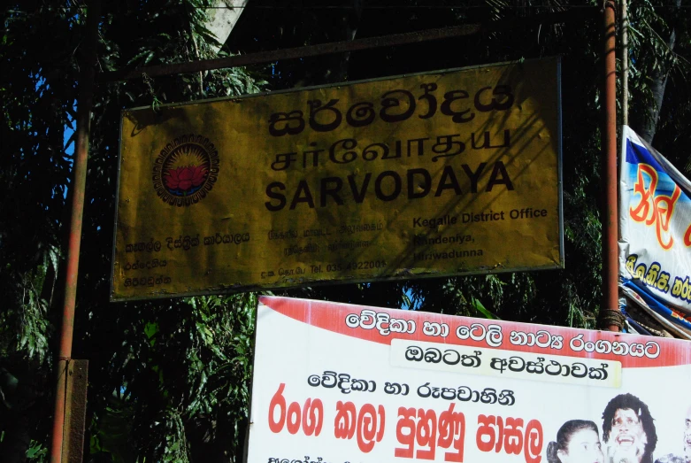 advertising signs sit above a forest in a rural country